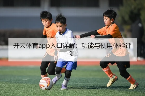 开云体育app入口详解：功能与使用体验评测